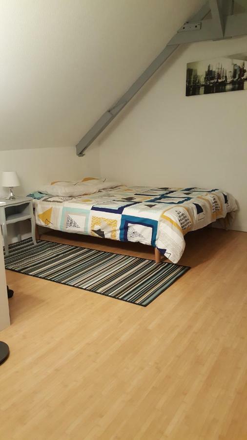 Joli Duplex Gare - Centre Ville Rennes Ngoại thất bức ảnh